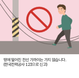 땅에 떨어진 전선 가까이는 가지 않습니다. (한국전력공사 123으로 신고)