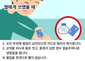 벌에게 쏘였을 때 1. 쏘인 부위에 벌침이 남아있으면 카드로 밀어서 제거합니다. 2. 상처를 비누와 물로 씻고, 통증이 심한 경우 얼음주머니로 냉찜질을 합니다. ※ 벌침을 핀셋으로 뽑지 않습니다.