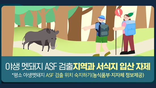 야생 멧돼지 ASF 검출지역과 서식지 입산 자제 *평소 야생멧돼지 ASF 검출 위치 숙지하기(농식품부·지자체 정보제공)