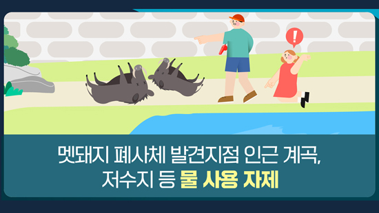 멧돼지 폐사체 발견지점 인근 계곡, 저수지 등 물 사용 자제