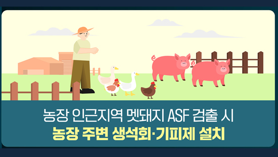 농장 인근지역 멧돼지 ASF 검출 시 농장 주변 생석회·기피제 설치
