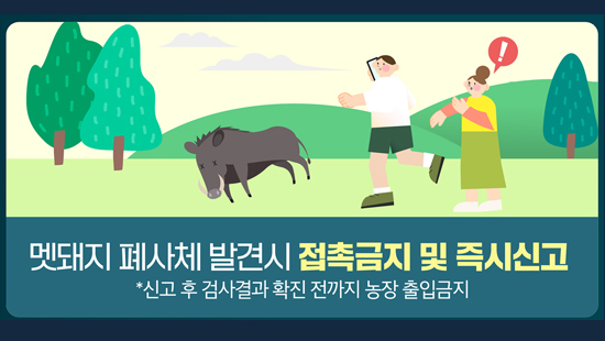 멧돼지 폐사체 발견시 접촉금지 및 즉시신고 *신고 후 검사결과 확인 전까지 농장 출입금지