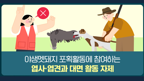야생멧돼지 포획활동에 참여하는 엽사·엽견과 대면 활동 자제