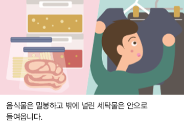 음식물은 밀봉하고 밖에 널린 세탁물은 안으로 들여놓습니다.