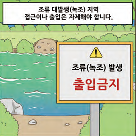 조류 대발생(녹조) 지역 접근이나 출입은 자제해야 합니다.