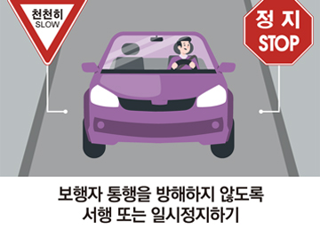 보행자 통행을 방해하지 않도록 서행 또는 일시정지하기