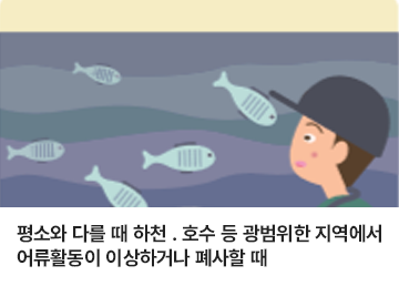평소와 다를 때 하천, 호수 등 광범위한 지역에서 어류들이 이상하거나 폐사할 때